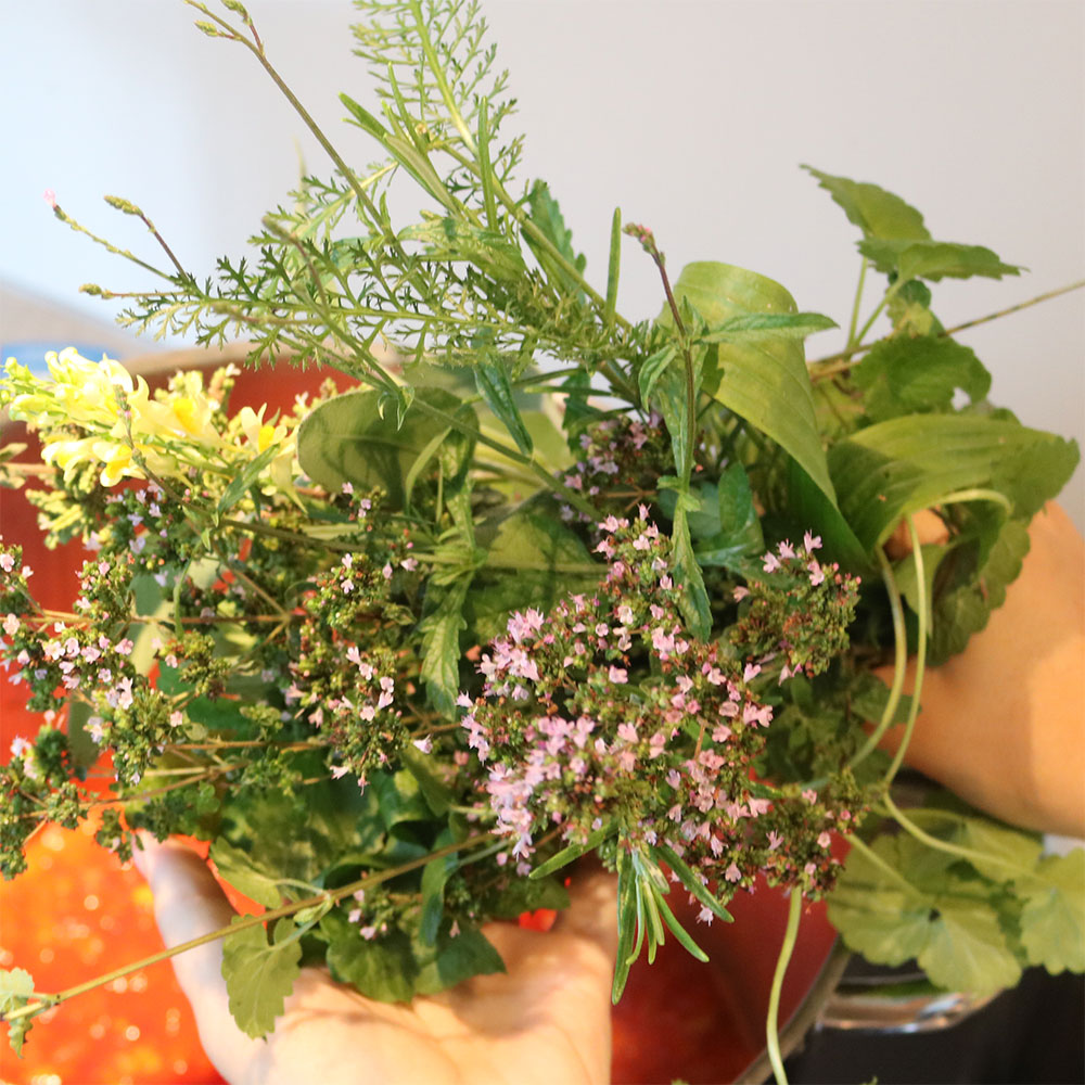 Kreativ Workshop Kochen mit Wildkräutern im Garten