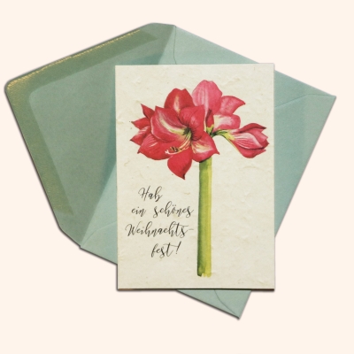Inizio Grußkarte Amaryllis A7