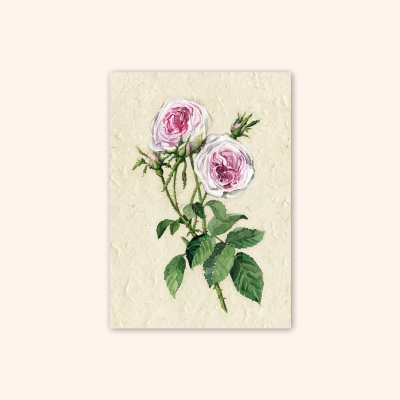 Inizio Postkarte Rose A6