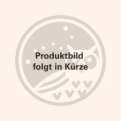 Natur Haarbürste Buche oval mit langen Holzstiften