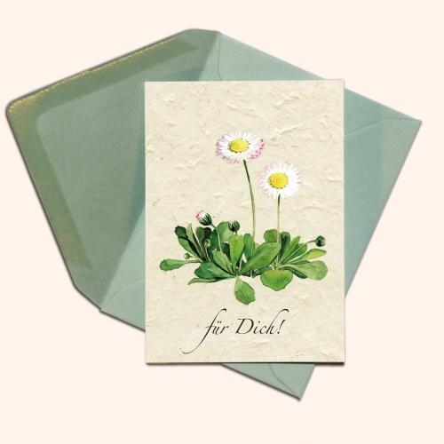 Inizio greetings card Daisy A7