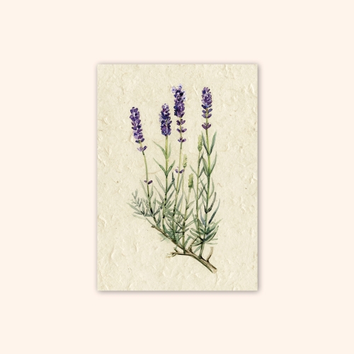 Inizio Postkarte Lavendel A6