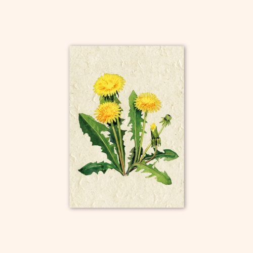 Inizio Postkarte Löwenzahn A6