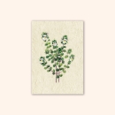 Inizio post card eyebright A6